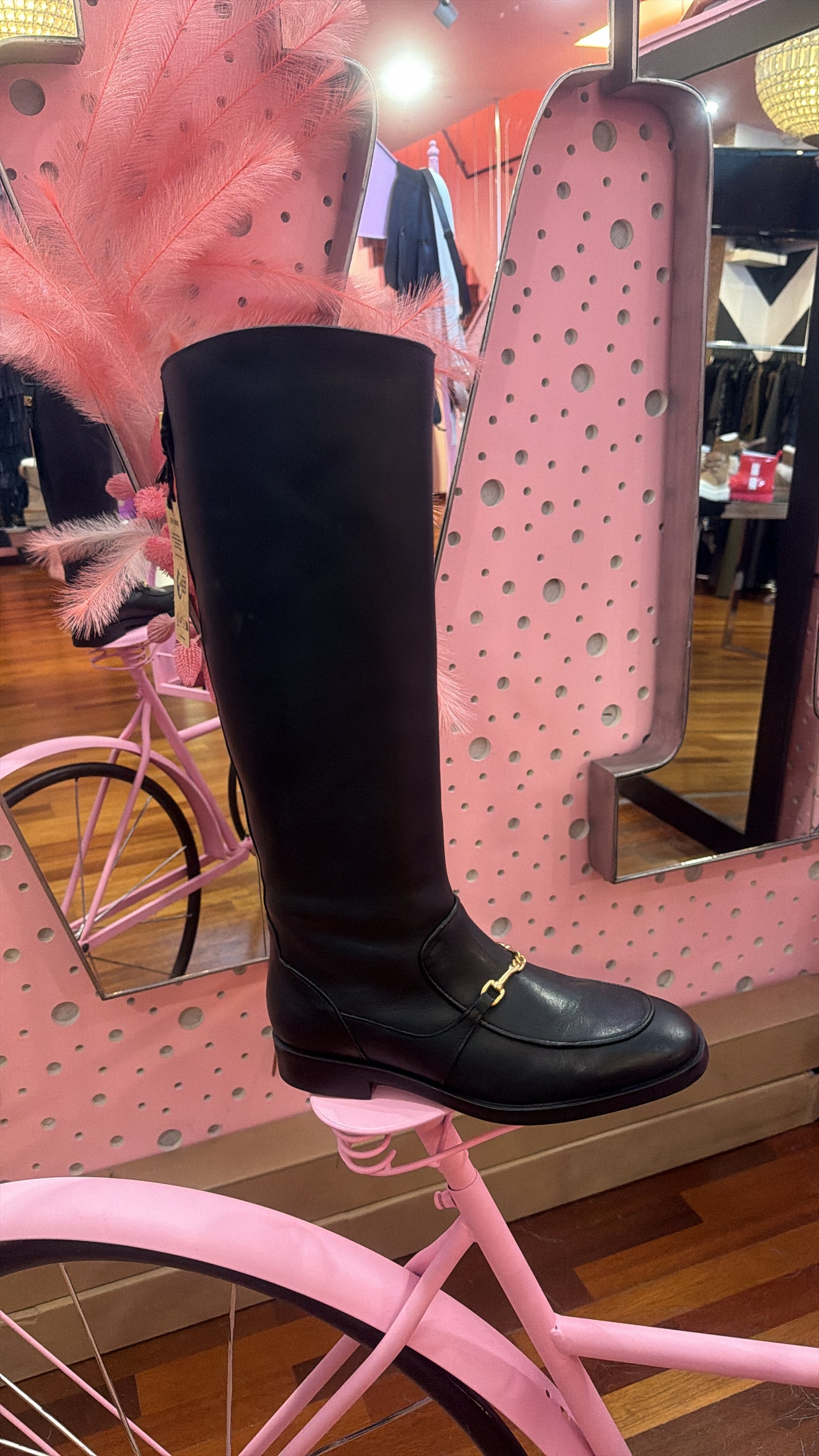 Botas Night Steve Madden