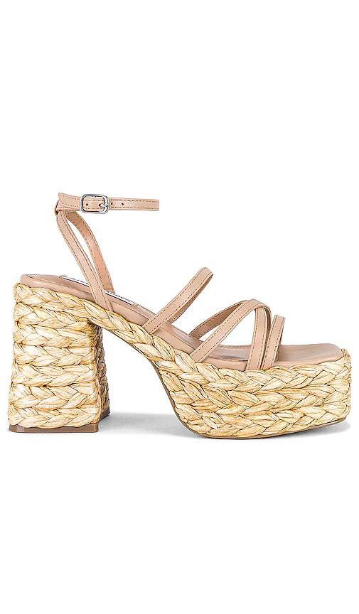 Belise Sandals Steve Madden