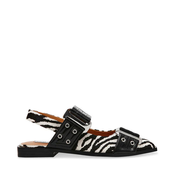 GRAND AVE ZEBRA
