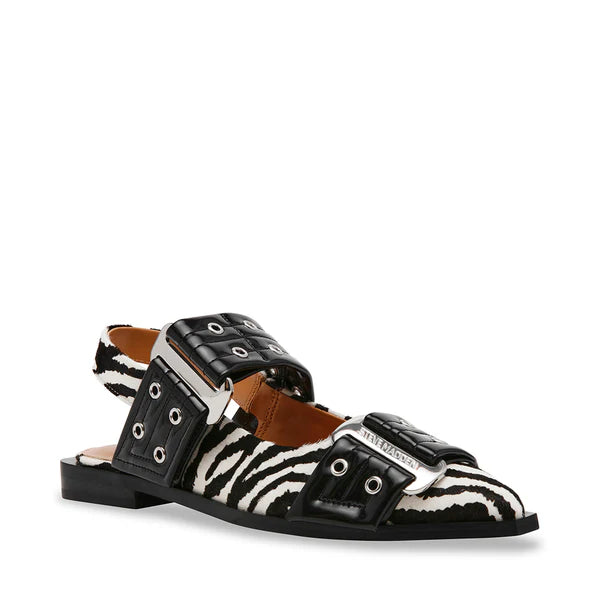 GRAND AVE ZEBRA